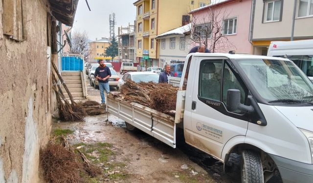 Almus'ta üreticilere 1070 ceviz fidanı dağıtıldı