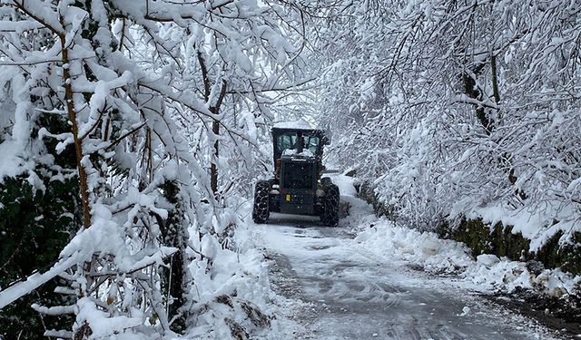 Artvin'de kar nedeniyle 79 köy yolu ulaşıma kapandı