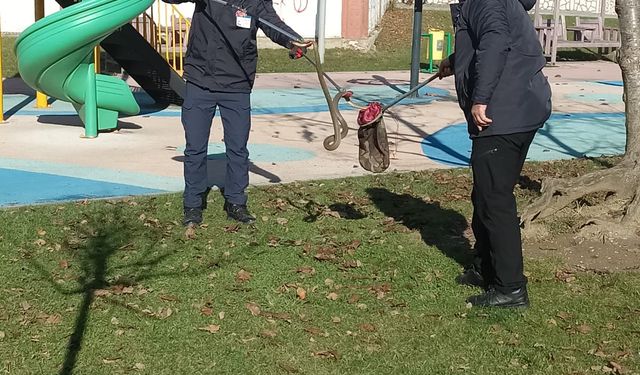 Bolu'da çocuk parkında görülen yılan yakalandı