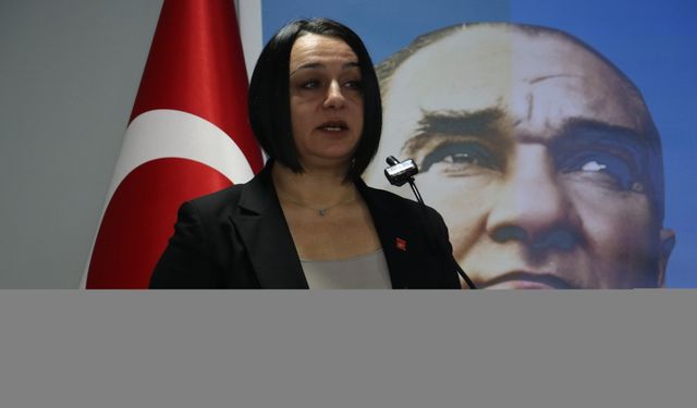 CHP Genel Başkan Yardımcısı Şahbaz, Kastamonu'da konuştu: