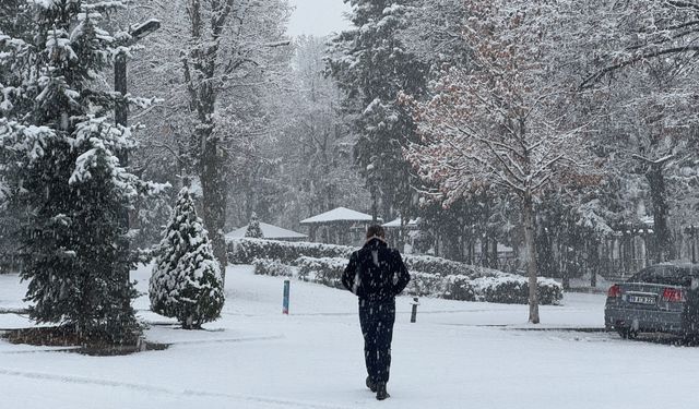 Çorum'da kar yağışı etkili oldu