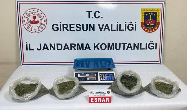 Giresun'da uyuşturucu operasyonunda 2 zanlı tutuklandı