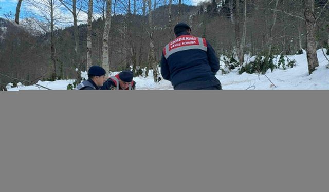 Giresun'da yaban hayvanları için doğaya yem bırakıldı