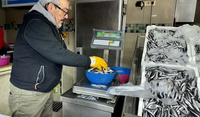 Kar suyuyla yağlanarak lezzetini artıran hamsi, Sinop'ta tüketicilerin ilk tercihi oluyor