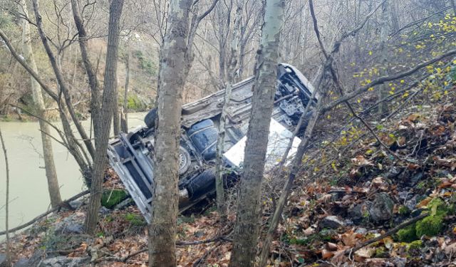 Karabük'te şarampole devrilen kamyonetin çaya düşmesini ağaçlar engelledi