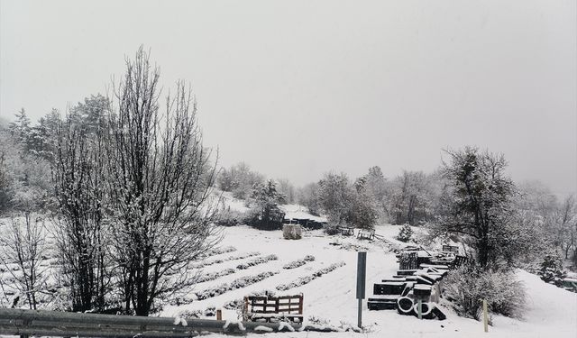 Kastamonu'da kar yağışı etkili oluyor