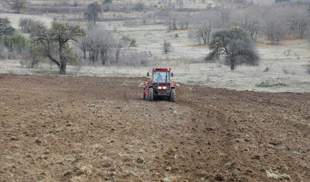 Ordu'da 200 dönümlük atıl araziyi tarıma kazandırdı