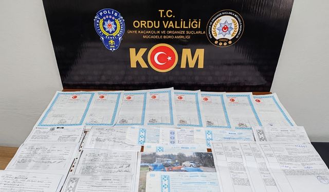 Ordu'da düzenlenen tefecilik operasyonunda 3 kişi yakalandı