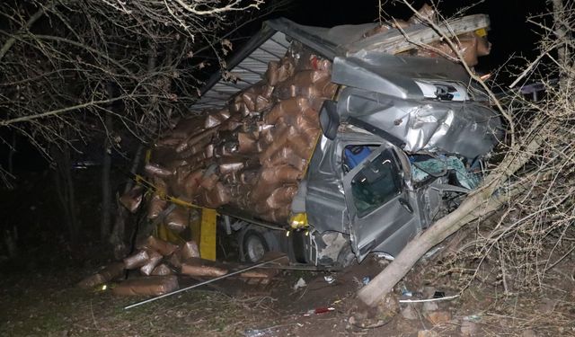 Samsun'da yoldan çıkan tırın sürücüsü yaralandı