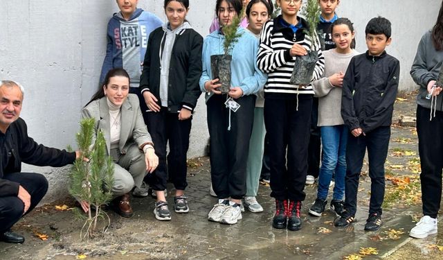 Tokat'ta okul bahçesine 10 çam fidanı dikildi