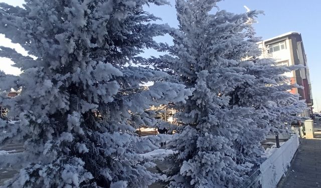 Yeşilyurt'ta soğuk hava etkili oldu