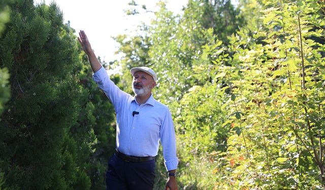 Başkan Çolakbayrakdar, “Yeşil alanda da rekor üstüne rekor kırdık”