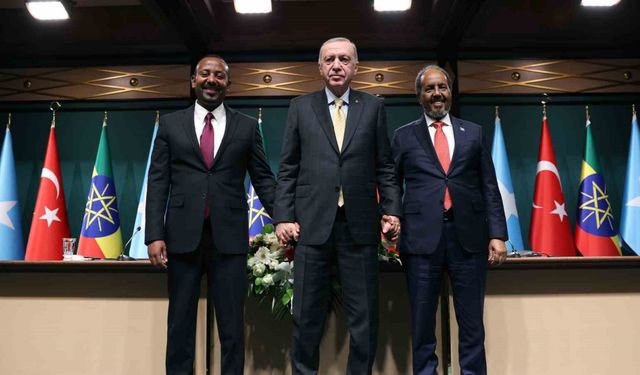 Cumhurbaşkanı Erdoğan devreye girdi, Afrika krizi çözüldü