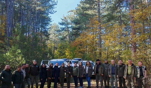 Kastamonu’da yaban hayatı envanteri tamamlandı