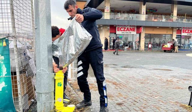 Kış günlerinde Bünyan’da sokak hayvanlarına umut eli