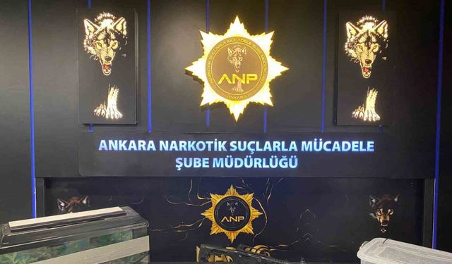 Narkogüç operasyonları kapsamında 1 kişi yakalandı