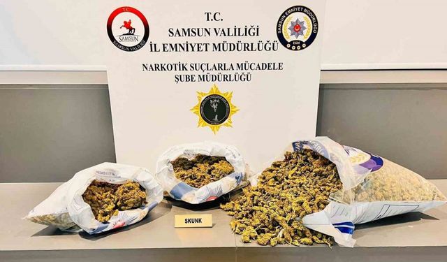 Samsun’da 5 kilo 700 gram skunk ele geçirildi: 4 gözaltı