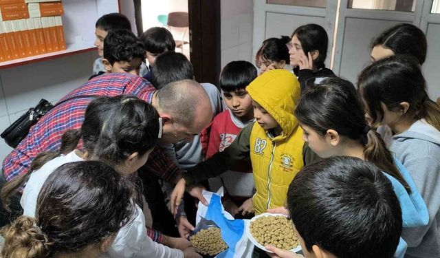 Sokak sokak gezip, sokak hayvanlarını besliyorlar