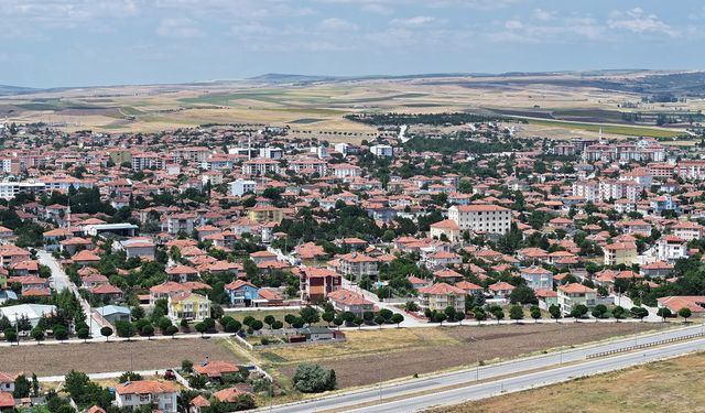 Alaca Belediyesi yetiştirilmesi yasak olan kavak ağaçlarını kesti