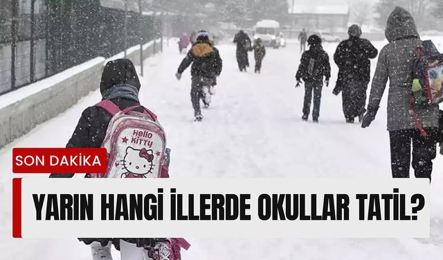 Artvin'de yarın okullar tatil mi? 18 Aralık Çarşamba yarın hangi illerde okullar tatil edildi?