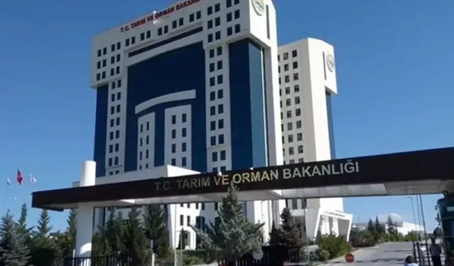 Tarım ve Orman Bakanlığı 99 personel alacak: İşte başvuru şartları