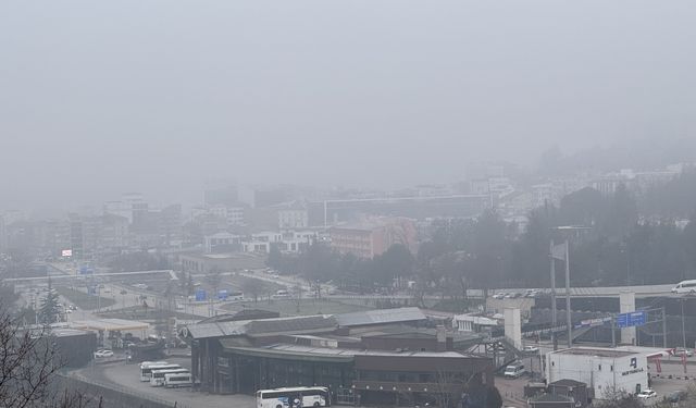 Düzce ve Karabük'te sis etkili oldu