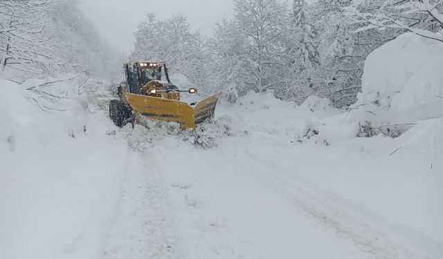 Rize'de kar nedeniyle 67 köye ulaşım sağlanamıyor
