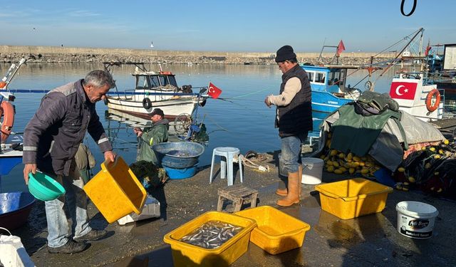 Zonguldak'ta bol miktarda avlanan balık tüketiciyi de balıkçıyı da sevindirdi