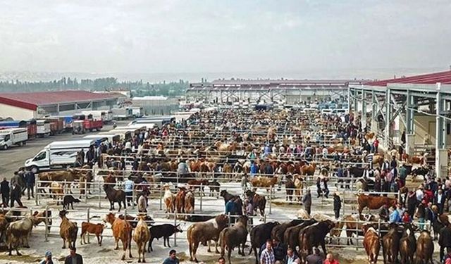 Kurban pazarlarında yoğunluk yaşanıyor