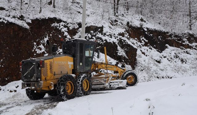 Düzce'de kardan kapanan köy yollarından 170'i ulaşıma açıldı
