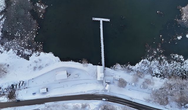 Kuş cenneti Efteni Gölü'nde kış manzaraları oluştu