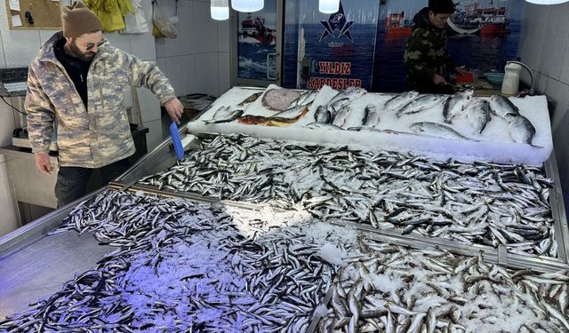 Sinop'ta hava muhalefeti balık avcılığını ve fiyatları olumsuz etkiliyor