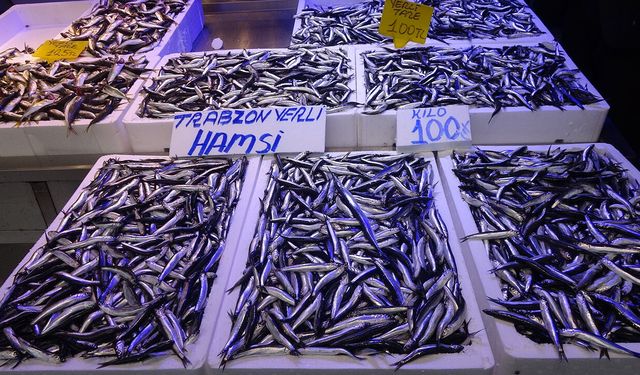 Balıkçılar, av yasağının 15 Nisan’a kadar devam etmesini eleştiriyor