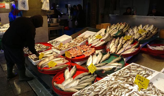 2025 Karadeniz Balıkçılık sezonu: Tekneler neden erken kapattı?