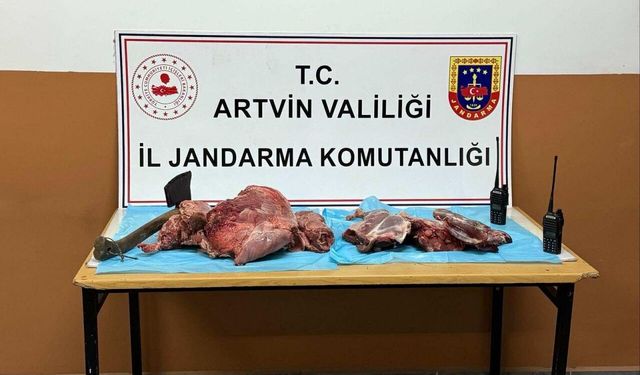 Artvin'de kaçak avlanan 2 kişiye 673 bin lira ceza kesildi