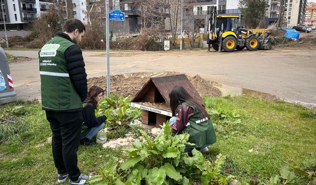 Giresun'da Yeşilay gönüllülerinden hayvanlara mama desteği