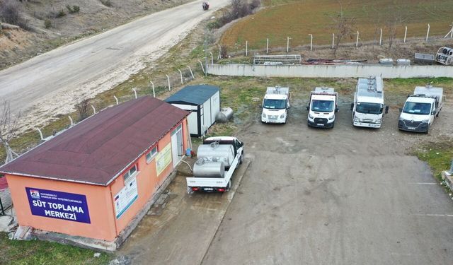 TKDK desteği ve soğuk zincir projesi sayesinde Kastamonu'da süt üretimi arttı