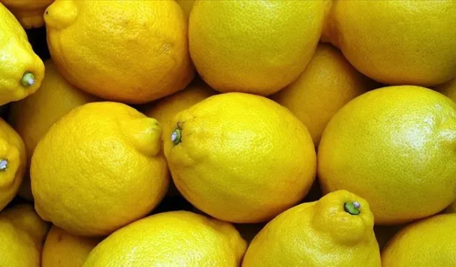 Tarlada 5 lira olan limon neden markette 100 TL? İşte fahiş fiyatın gerçek sebebi