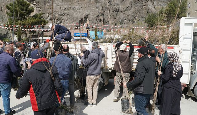 Osmancık Belediyesi vatandaşlara ücretsiz meyve fidanı dağıttı