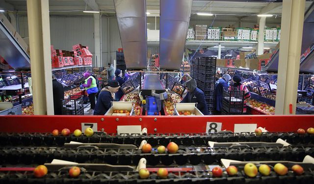 Çorum'da bir ailenin başarı hikayesi: TKDK destekleriyle 25 ülkeye ihracat yapıyorlar