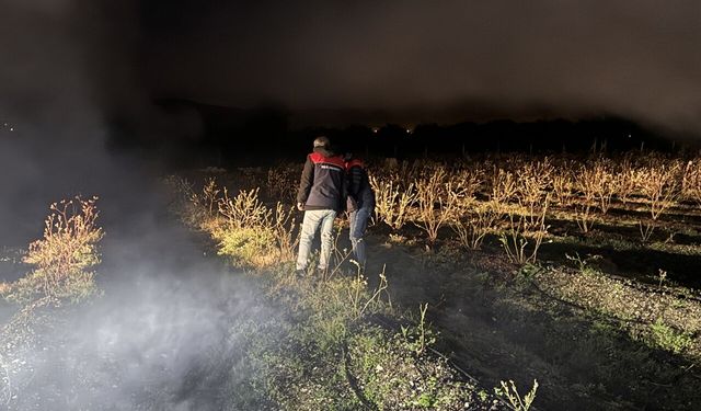 Düzce'de fındık ve tropikal meyve yetiştiricileri, zirai dona karşı sisleme yöntemini kullanıyor