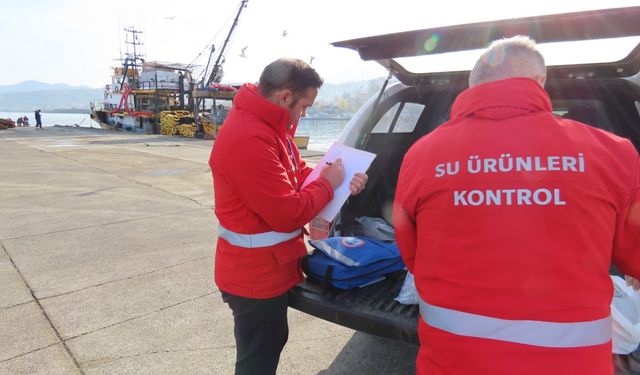 Trabzon'da balık avı sezonundaki denetimlerde 2 milyon 390 bin lira ceza uygulandı