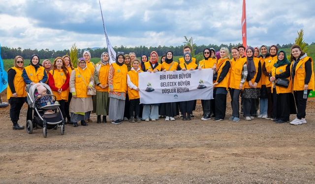 TÜRGEV son 5 yılda 16 bin 117 fidan dikti