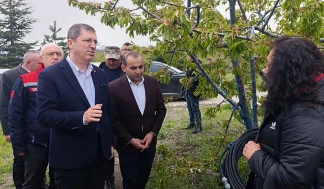 Tokat'ta don felaketi... TBMM gündemine taşınacak