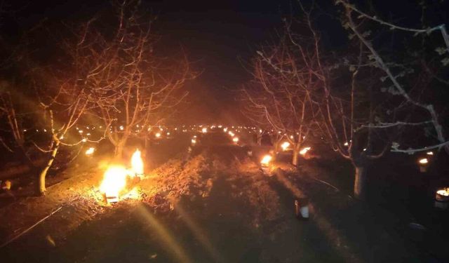 Zirai dona karşı gece nöbeti