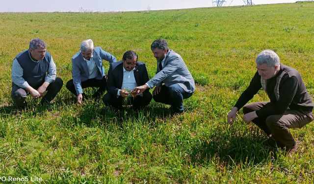 Merkeze bağlı köylerde zirai dondan etkilenen çiftçileri ziyaret ettiler