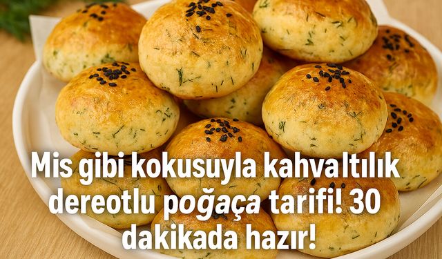 Mis gibi kokusuyla kahvaltılık dereotlu poğaça tarifi! 30 dakikada hazır oluyor