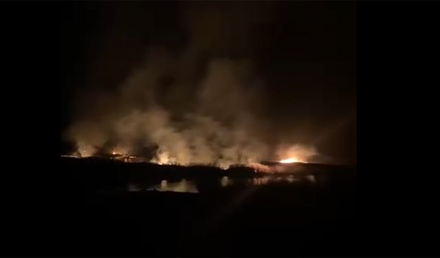 Kızılırmak Havzası yine alevlere teslim: Kuşların yumurtlama döneminde tehlikeli yangın