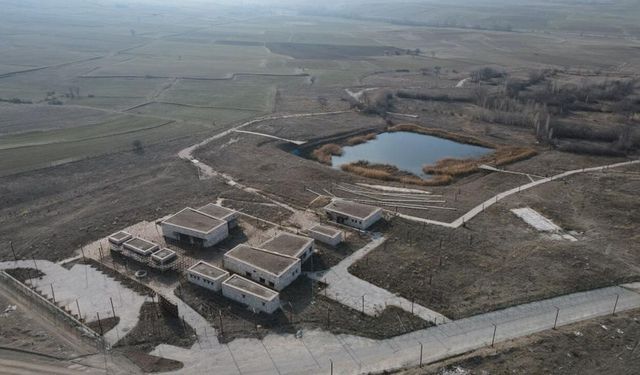 Yüzlerce milyonluk yatırım göz göre göre çürüyor! Alacahöyük'teki görüntüler vicdanları sızlattı