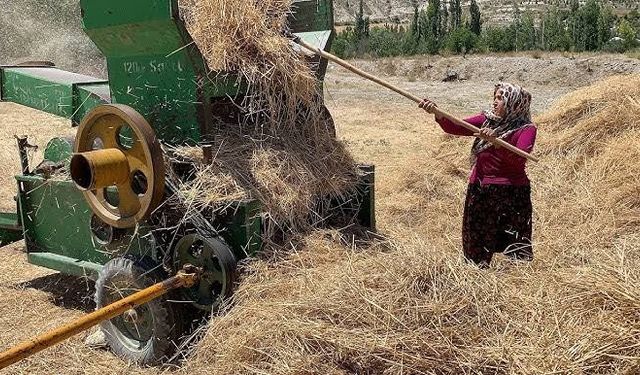 Tarlalar Değişti, Makineler Değişti... Ama O 'Patoz' Sesi Hiç Değişmedi: Çorum'da Harman Zamanı